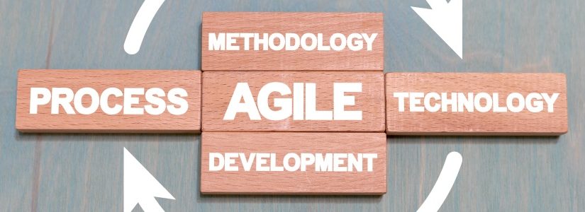 What to look out for when contracting agile software development?